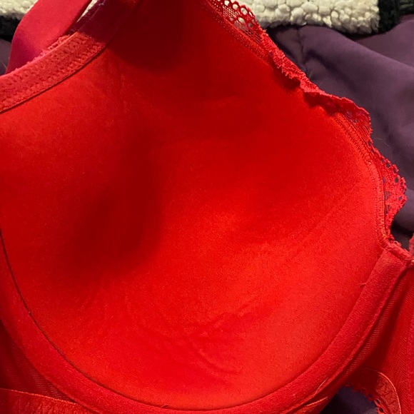 L.a. Senza Bra - Picture 2 of 5